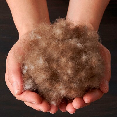 ç²å·çŸœæ¯æ¬æããµãšã1æãäºå±€ãã«ããã¢ã€ããŒããŠã³95%ããã³ã¯(ã·ã³ã°ã«)5ã1297021ã