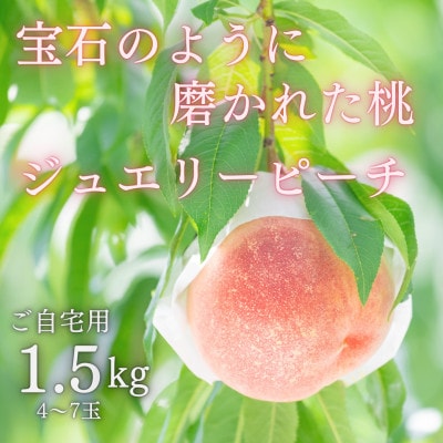 宝石のように磨かれた桃 やまなし内藤農園の白桃【ご自宅用】約1.5kg(4〜7玉)【配送不可地域：離島】【1608938】