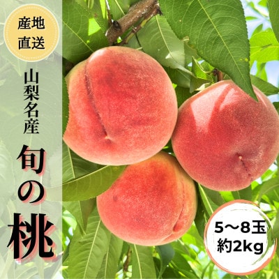 笳2026蟷エ逋コ騾≫螺逕」蝨ー逶エ騾 譯縺ョ驥後h繧翫♀螻翫¢!譌ャ縺ョ譯 5縲8邇(邏2kg)縲宣埼∽ク榊庄蝨ー蝓滂シ夐屬蟲カ縲代1678180縲