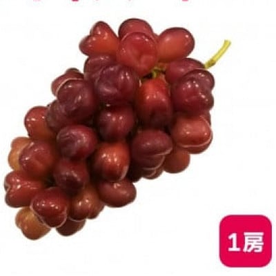 ã2026幎9æäžæ¬ããçºéäºå®ããã€ããŒã1æ¿ 500gä»¥äž ããŒã圢ã®ããããè¡èãé
éäžå¯å°åïŒé¢å³¶ãã1613666ã