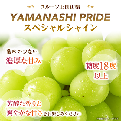 2026年度先行予約 フルーツ王国山梨産厳選 シャインマスカット 1房(約500-600g)【配送不可地域：離島】【1501766】