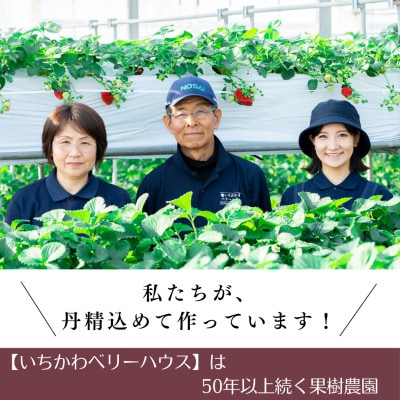 【2026年配送】農園直送!厳選!山梨産シャインマスカット2房(1kg以上)【配送不可地域：離島・沖縄県】【1481228】