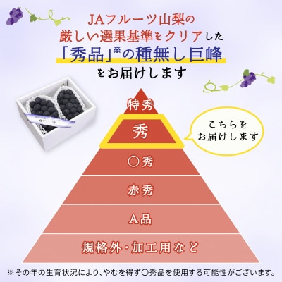 種なし巨峰(2房)【配送不可地域：離島】【1300007】