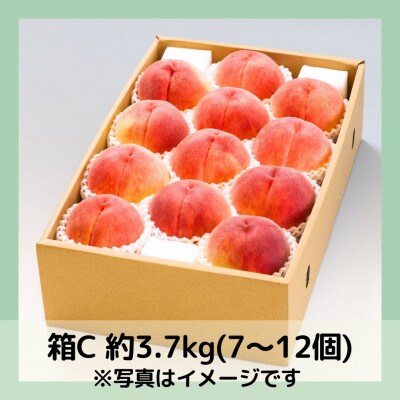 【2026年先行予約】山梨・萩原フルーツ農園の白桃　C (約3.7kg 7〜12個)【配送不可地域：離島】【1477612】