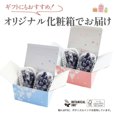 【2026年発送分先行受付】山梨産 巨峰(種無し) 2房 約1kg 化粧箱入り【配送不可地域：離島・沖縄県】【1021830】