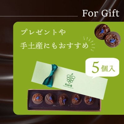 シャインマスカットレーズンのチョコレートマンディアン 5個入 山梨県産シャインマスカット使用【1694883】