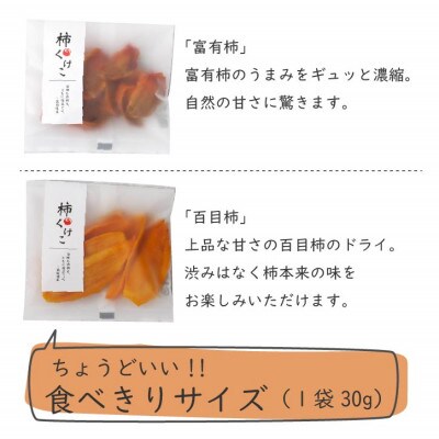 シャインマスカットのレーズンと柿2種のドライフルーツセット 30g×3袋 無添加、砂糖不使用【1508703】