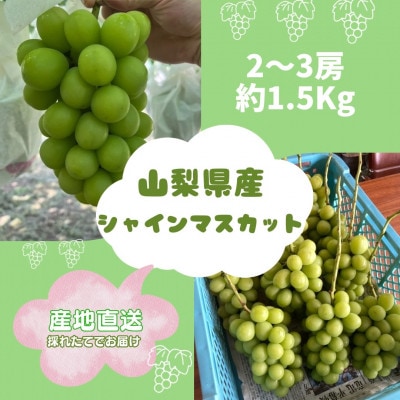 縲千匱騾∵怦蝗コ螳壼ョ壽悄萓ソ縲第流縺ョ蟾ィ蟲ー+繧キ繝」繧、繝ウ繝槭せ繧ォ繝繝2縲3謌ソ(邏1.5kg)蜈ィ2蝗槭宣埼∽ク榊庄蝨ー蝓滂シ夐屬蟲カ縲代4084812縲