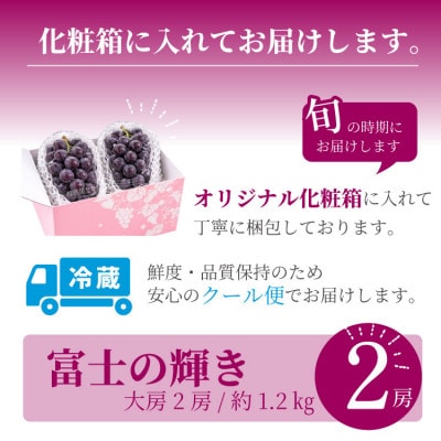 山梨市産 富士の輝き 大粒で高糖度の黒ぶどう 贈答用2房 化粧箱入り【配送不可地域：離島】【1724543】