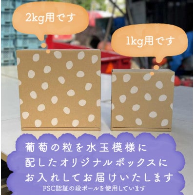 【2026年発送】巨峰ぶどう(種なし) 　2房　1kg 以上　産地直送　山梨県山梨市牧丘産【配送不可地域：離島・沖縄県】【1535963】