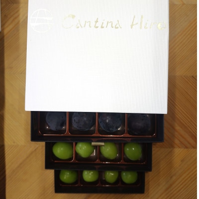 【2026年先行受付】ぶどうが光り輝く宝石に!!牧丘天空の丘ブランドぶどうの宝石箱 約700g【配送不可地域：離島】【1705539】