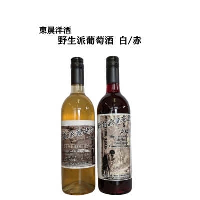 東晨洋酒 野生派葡萄酒 白赤セット 無添加ワイン　合計2本(720ml×各1本)【1706047】