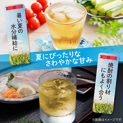とうもろこしのおいしいひげ茶 500ml 24本 計12L サーフビバレッジ【1032871】