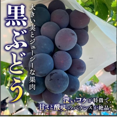 【発送月固定定期便】桃2kg(5〜8玉)　黒ぶどう2房〜3房　シャインマスカット2房1kg以上全3回【配送不可地域：離島・沖縄県】【4086803】