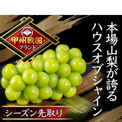 【1年で今しか食べられない】幻のハウスオブシャインマスカット心行くまで堪能2026年6月上旬発送【配送不可地域：離島】【1495005】