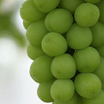 【ふるさと納税】2026年先行予約 厳選! 山梨県山梨市産 シャインマスカット 約700g以上【配送不可地域：離島】【1283964】