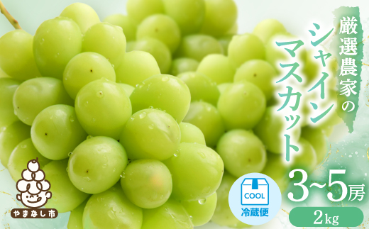 ã2026幎çºé å
è¡åä»ãã·ã£ã€ã³ãã¹ã«ããã3ã5æ¿ 2kgãé
éäžå¯å°åïŒé¢å³¶ãã1565510ã