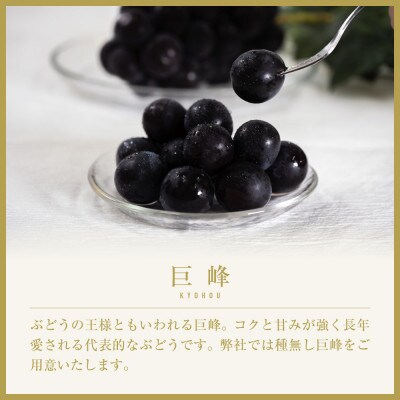 ã2026幎çºéå
è¡åä»ã山梚ç山梚åžç£ãæ¬ã®æ¡ãããŠå·šå³°ãçŽ1kgã2ã3æ¿ãé
éäžå¯å°åïŒé¢å³¶ãã1459462ã