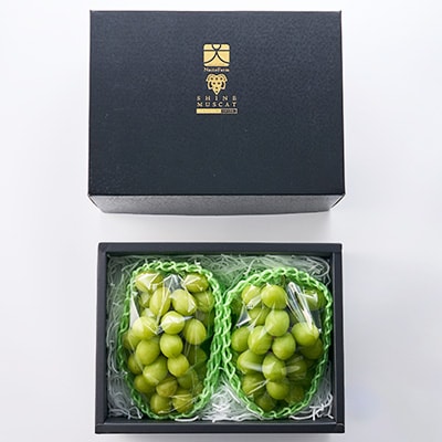 やまなし内藤農園のシャインマスカット2房 ふるさと納税【配送不可地域：離島】【1049128】