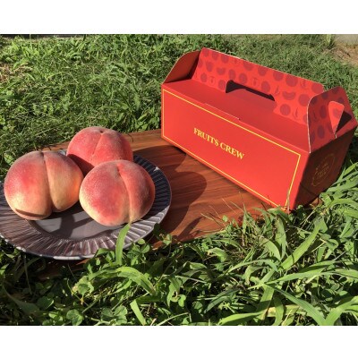 人気ゴールデン番組で話題沸騰!桃通が好む硬甘桃お試し約1kg8月中旬より発送【配送不可地域：離島・北海道・沖縄県・中国・四国・九州】【1410779】