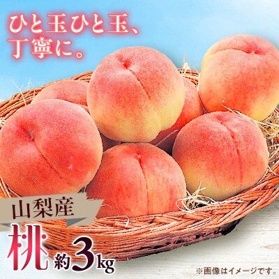 ã2026幎çºéã山梚åžç£ãæ¡ãçŽ3kgãé
éäžå¯å°åïŒé¢å³¶ãã1465106ã