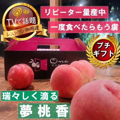 【瑞々しく滴る次世代を担う夢桃香】人気品種指定ギフト5年連続TV出演話題ブランド2026年7月上旬〜【配送不可地域：離島・北海道・沖縄県・中国・四国・九州】【1465408】