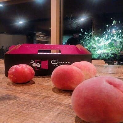 ã5幎é£ç¶TVåºæŒéæãä»ãæãç±èŠç·ã泚ããããæš¹äžå®çãã©ã³ãæ¡ã2026幎9æäžæ¬ããçºéãé
éäžå¯å°åïŒé¢å³¶ã»åæµ·éã»æ²çžçã»äžåœã»ååœã»ä¹å·ãã1704745ã