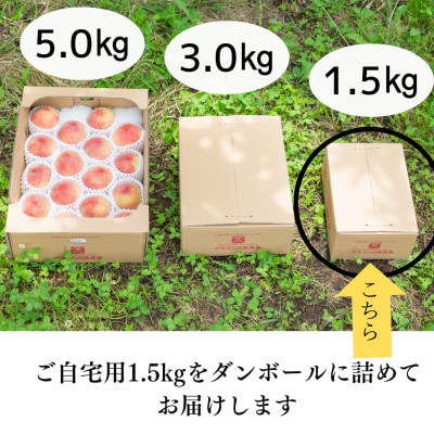 宝石のように磨かれた桃 やまなし内藤農園の白桃【ご自宅用】約1.5kg(4〜7玉)【配送不可地域：離島】【1608938】