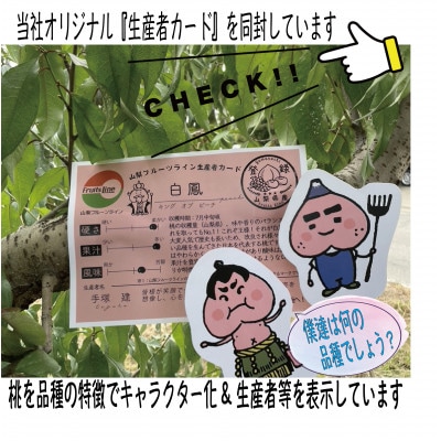 æåŸã®å®çæ¡ããã¯ã€ã©ã€ãããŒããçŽ1.5kg(3ã6ç)ãé
éäžå¯å°åïŒé¢å³¶ã»æ²çžçãã1423456ã
