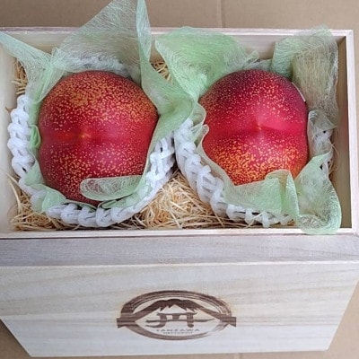 【周りに差をつける贈り物】最高糖度25度比類なき絶対糖度シャトーネクタリン2026年8月中旬より発送【配送不可地域：離島・北海道・沖縄県・中国・四国・九州】【1468769】