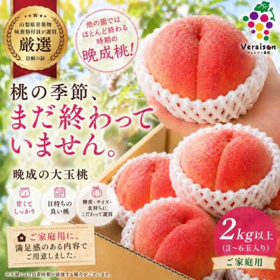 【2026発送予定】晩生大玉桃|甘くて日持ち◎農家直送2kg以上(3〜6玉入り)【配送不可地域：離島】【1178180】