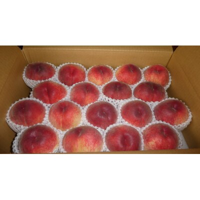 ã2026幎çºéå
è¡åä»ãå³éžææ¡ãæ¡ å±±æ¢šã®ç¬ äºæ¡åã®æ¡ çŽ5kgãé
éäžå¯å°åïŒé¢å³¶ãã1587434ã