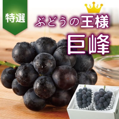 【2026年発送分先行受付】山梨産 巨峰(種無し) 2房 約1kg 化粧箱入り【配送不可地域：離島・沖縄県】【1021830】