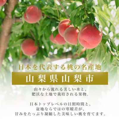 2026幎çºé æ©ç çŽ2kg 5~8å 倧ã¶ãæ¯ãããâ YAMANASHI PRIDE æ¡ãé
éäžå¯å°åïŒé¢å³¶ãã1425351ã