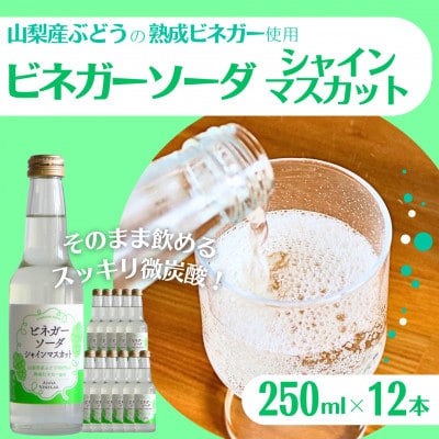 山梨産ぶどう100%の熟成ビネガーの、そのまま飲める「ビネガーソーダシャインマスカット12本セット」【1658113】