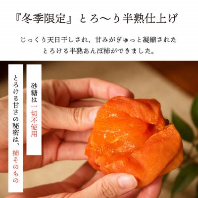 【2026年11月より発送】特選 山梨産 あんぽ柿 「蜜まる」 4個入【1717574】