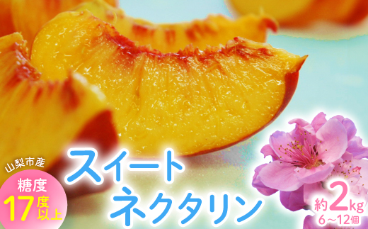 2026年先行　スイートネクタリン　約2kg(6〜12個)【配送不可地域：離島・北海道・沖縄県・中国・四国・九州】【1676551】