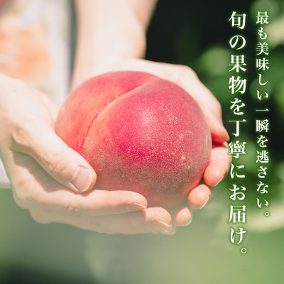 2026年度先行予約 約2kg 完熟 桃 とろける甘み YAMANASHI PRIDE (5〜8玉)【配送不可地域：離島・北海道・沖縄県・中国・四国・九州】【1222000】