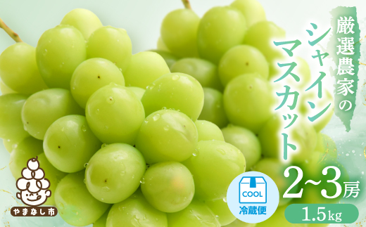 ã2026幎çºé å
è¡åä»ãã·ã£ã€ã³ãã¹ã«ããã2ã3æ¿ 1.5kgãé
éäžå¯å°åïŒé¢å³¶ãã1565515ã