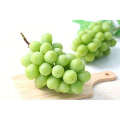 【2026年発送】山梨県産・シャインマスカット(約2kg) 秀品 〈2026年9月中旬〜10月下旬〉【配送不可地域：離島・沖縄県】【1731698】