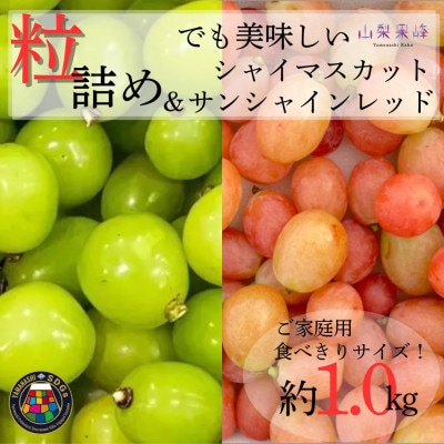 ★2026年度発送　SDGs　粒シャイン&サンシャインレッド　1kg相当【配送不可地域：離島・北海道・沖縄県・中国・四国・九州】【1752176】