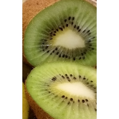 ããŠã€ãã«ãŒã(ãã€ã¯ãŒã)çŽ2kgã1178154ã