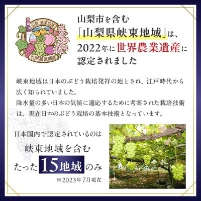 ã2026幎çºéãã·ã£ã€ã³ãã¹ã«ãã 2kg (3ã4æ¿) 蟲家çŽé äžç蟲æ¥éºç£èªå®å°ç¹ç£ãé
éäžå¯å°åïŒé¢å³¶ãã1117447ã