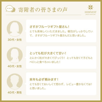 【2026年発送先行受付】山梨県山梨市産　旬の採れたてピオーネ　約1kg　2〜3房【配送不可地域：離島】【1459463】