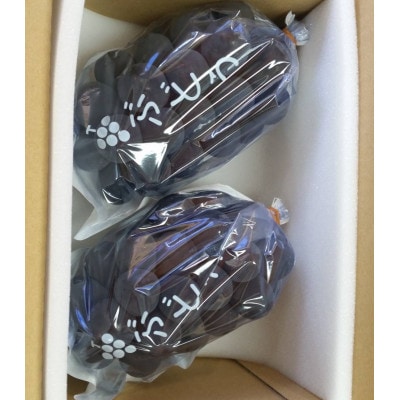 2026幎å
è¡åä»8æäžæ¬ããé æ¬¡çºéå·šå³°ã®äžå·šå³°ã®ããããå±ãããå·šå³°(çš®ãªã)2æ¿(1kg以äž)ãé
éäžå¯å°åïŒé¢å³¶ãã1362911ã