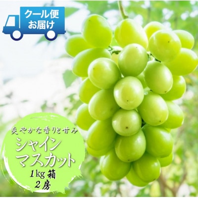 先行予約　2026年発送分　山梨県 山梨市　安心のクール便発送　シャインマスカット 1kg 　2房【配送不可地域：離島・沖縄県】【1671621】