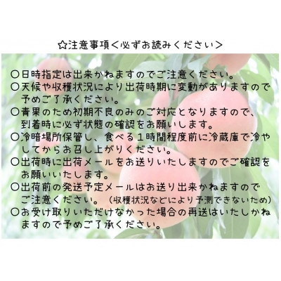 ã2026幎çºé å
è¡åä»ã山梚ç山梚åžç£ æ¡ 2kg (5ã8ç)ãé
éäžå¯å°åïŒé¢å³¶ã»æ²çžçãã1691260ã