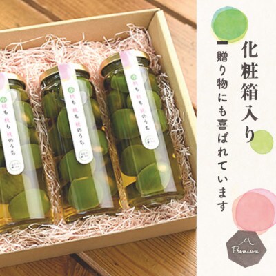 山梨県産もものピクルス「小桃も桃も桃のうち」3本セット 前菜やワインのお供に!食卓が華やぐ♪【1038299】