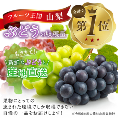 【2026年先行受付】やみつきシャインマスカット 500g以上(1房)【配送不可地域：離島】【1551175】