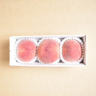 【発送月固定定期便】山梨市産　季節のフルーツ定期便全3回【配送不可地域：離島・沖縄県】【4069557】